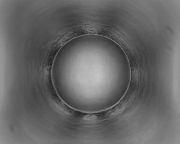 X0000111190271200907011418