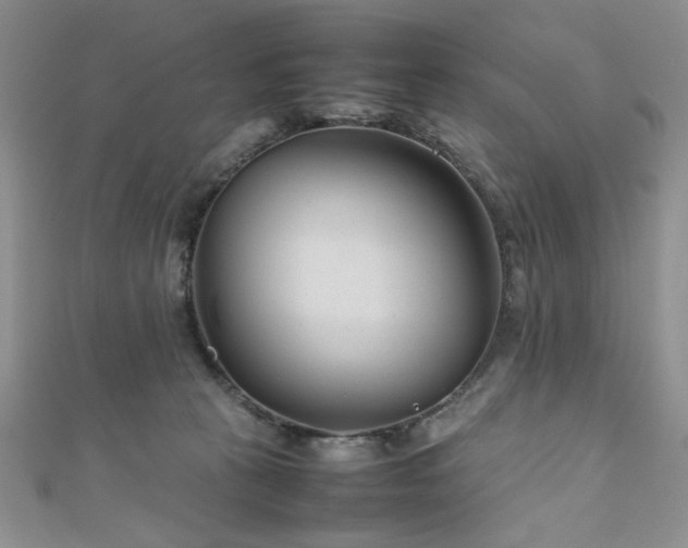 X0000111190273200907011418