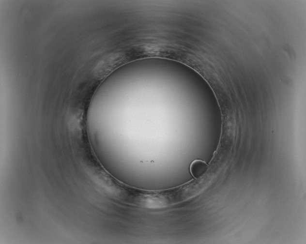 X0000111190275200907011418