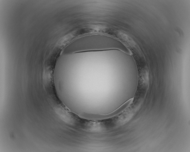 X0000111190276200907011418