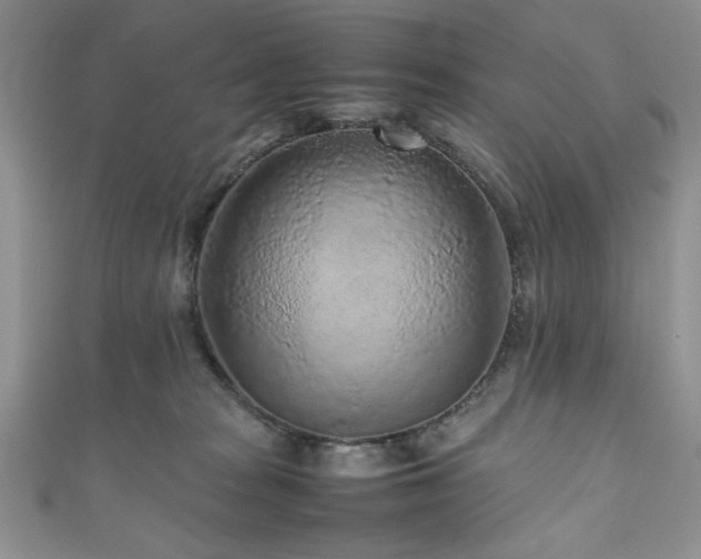 X0000111190277200907011418