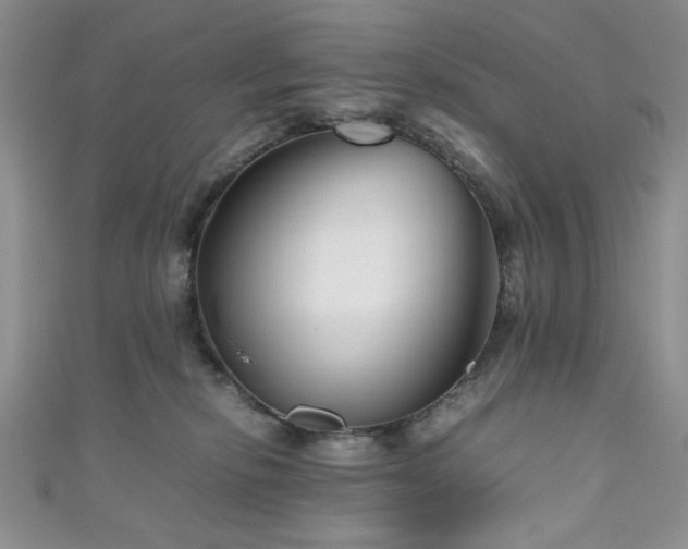 X0000111190278200907011418