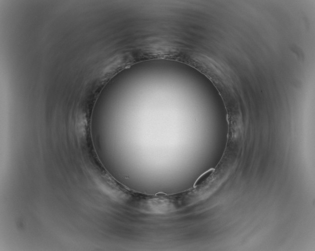 X0000111190279200907011418