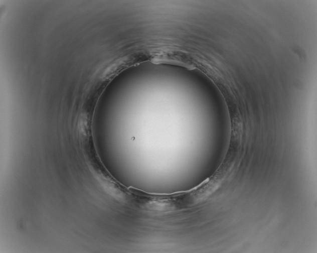 X0000111190280200907011418