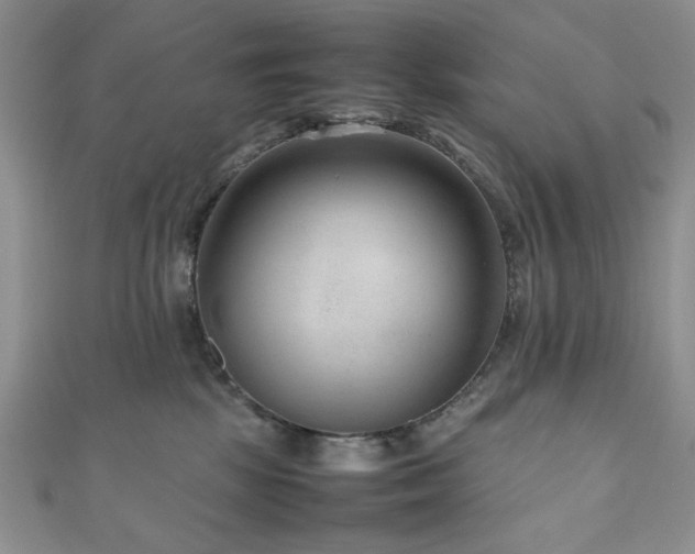 X0000111190281200907011418