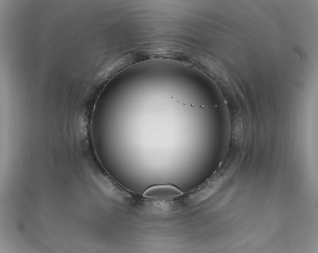 X0000111190282200907011418