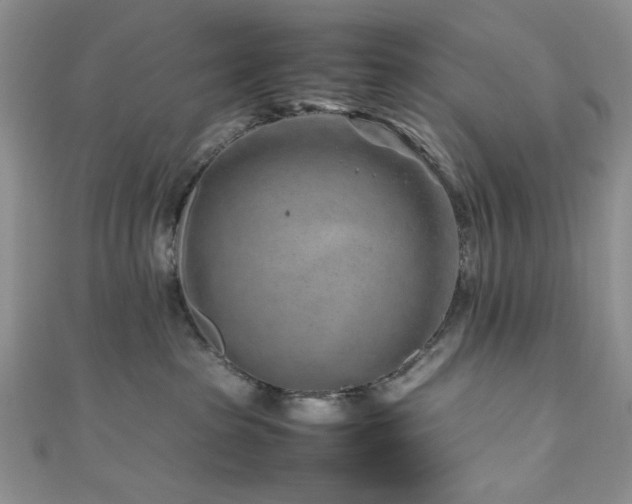 X0000111190285200907011418