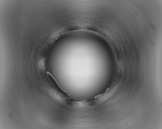 X0000111190286200907011418