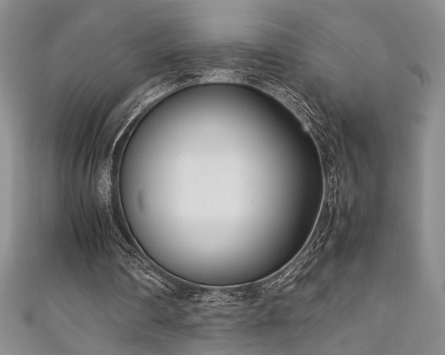 X0000111190290200907011417