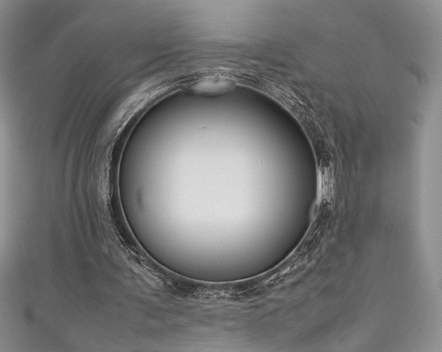 X0000111190291200907011417