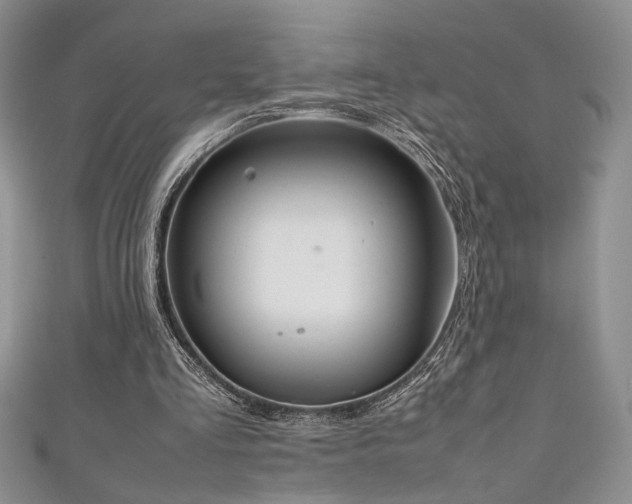 X0000111190293200907011417