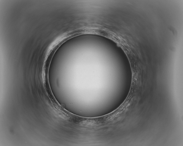 X0000111190294200907011417