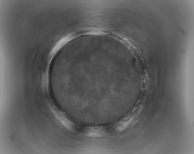 X0000111190296200907011417