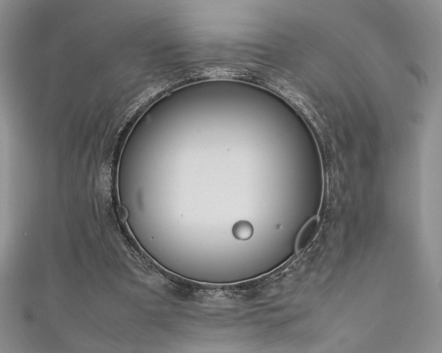 X0000111190297200907011417