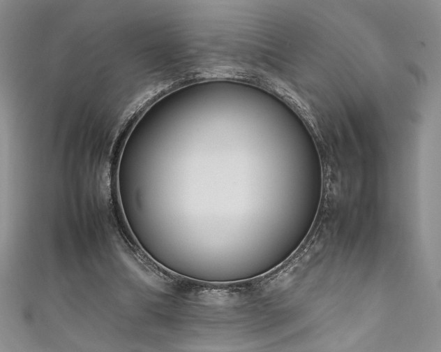 X0000111190298200907011417