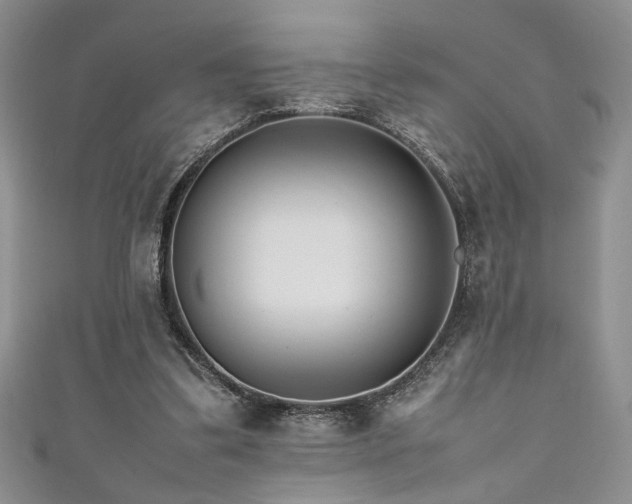 X0000111190299200907011417