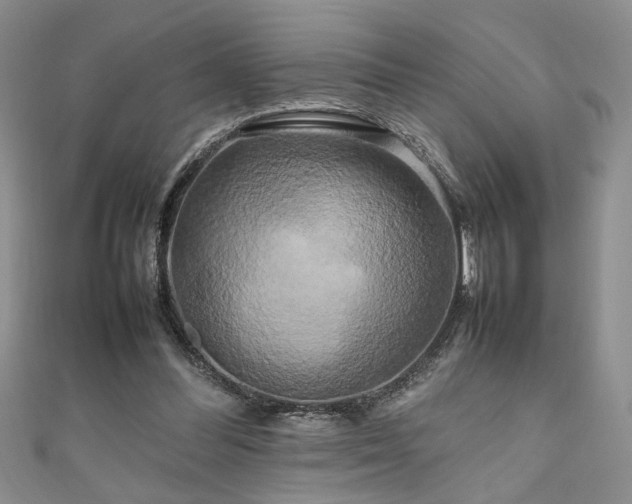 X0000111190300200907011417