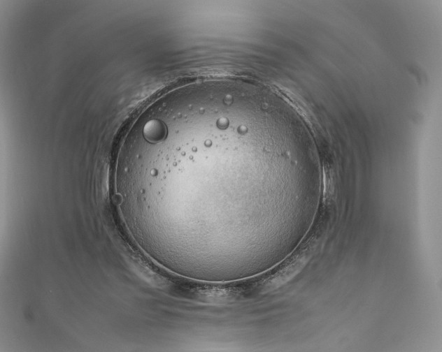 X0000111190301200907011417