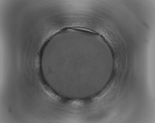 X0000111190303200907011417