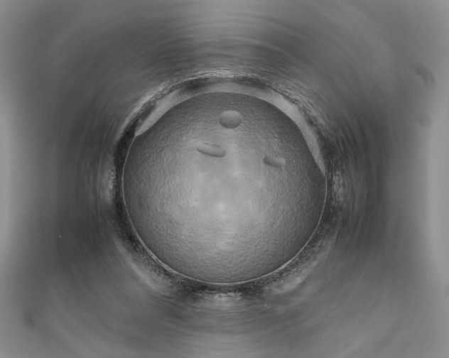 X0000111190304200907011417