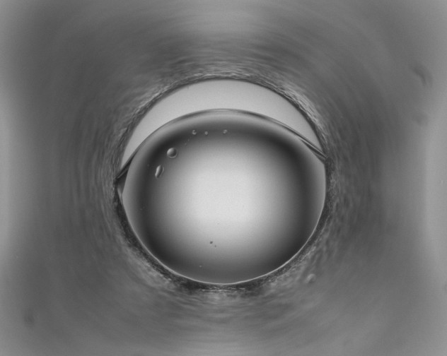 X0000111190305200907011417