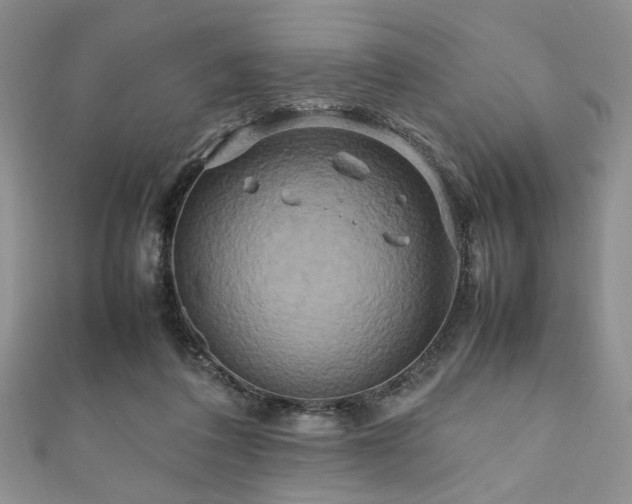 X0000111190308200907011417