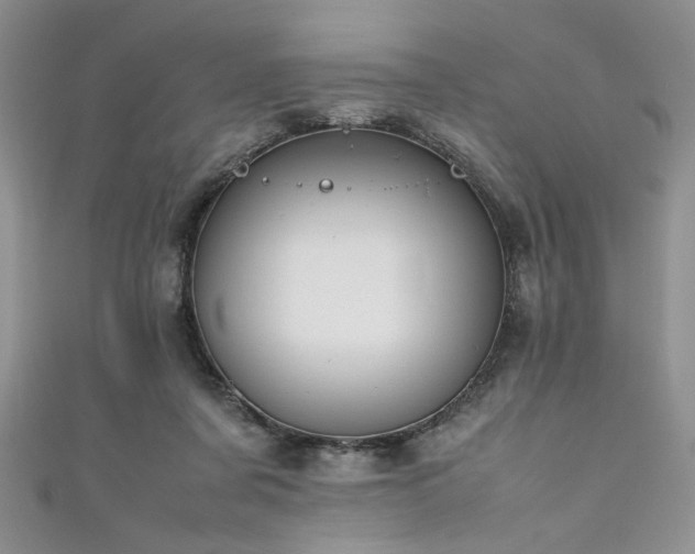 X0000111190311200907011417