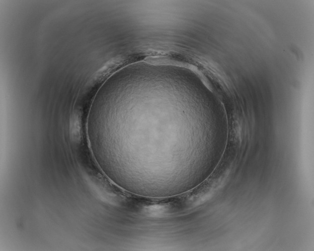 X0000111190312200907011417