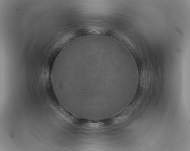 X0000111190314200907011417