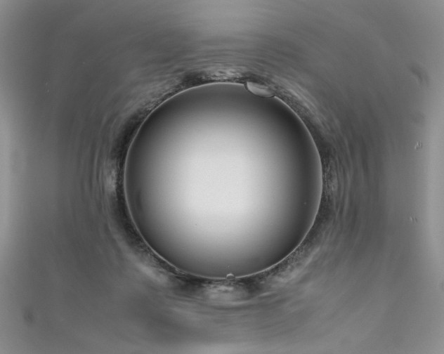 X0000111190315200907011417