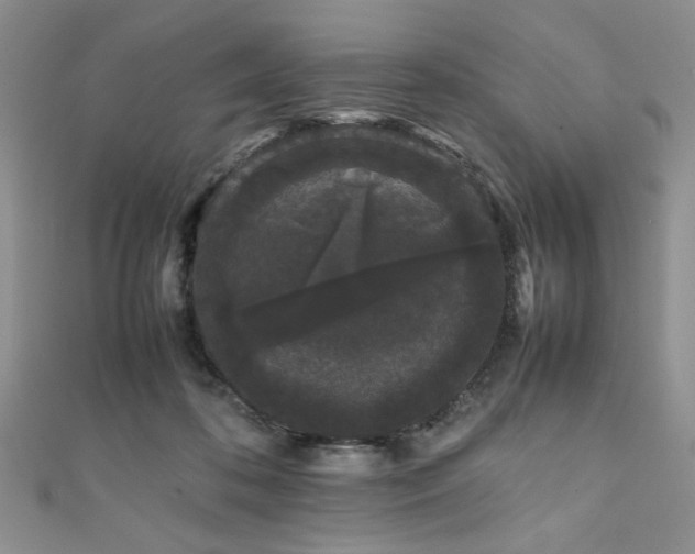 X0000111190316200907011417