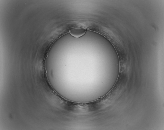 X0000111190317200907011417