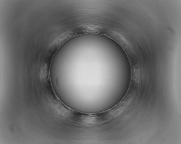 X0000111190318200907011417