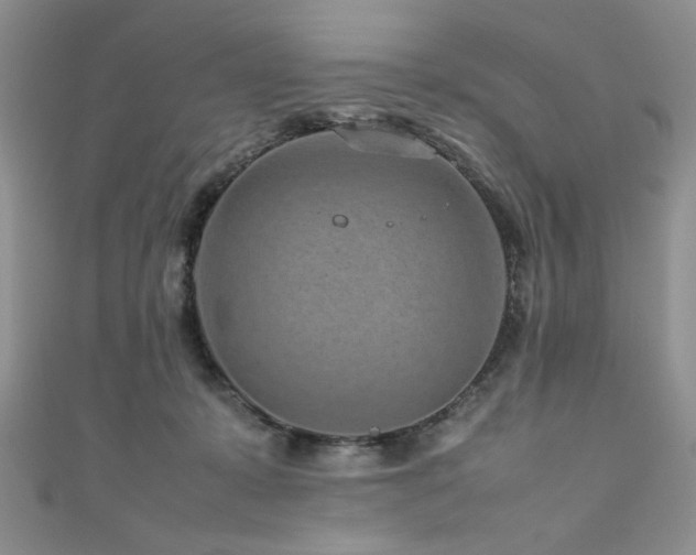 X0000111190319200907011417