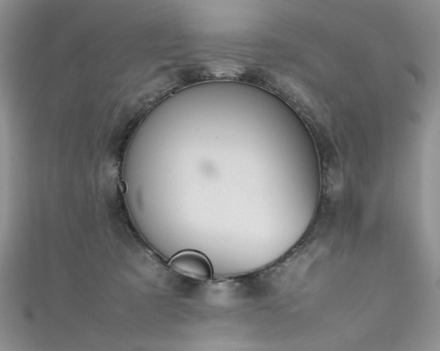 X0000111190321200907011417