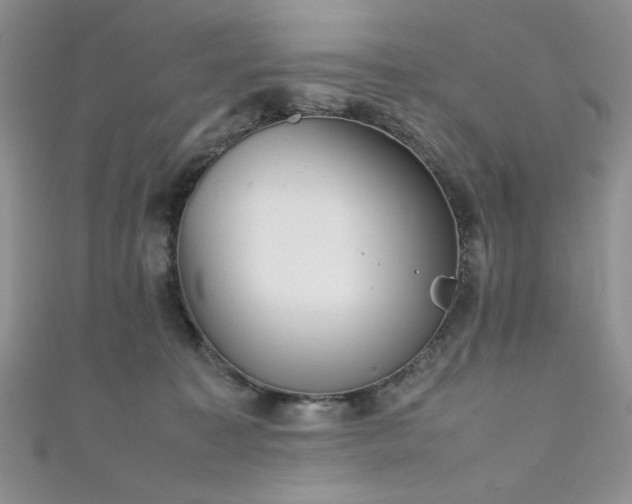 X0000111190323200907011417