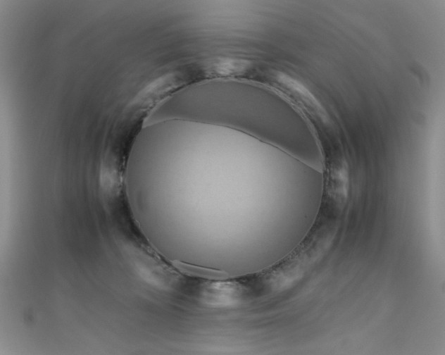 X0000111190324200907011417