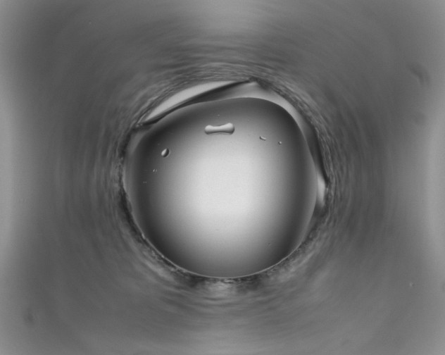 X0000111190325200907011417