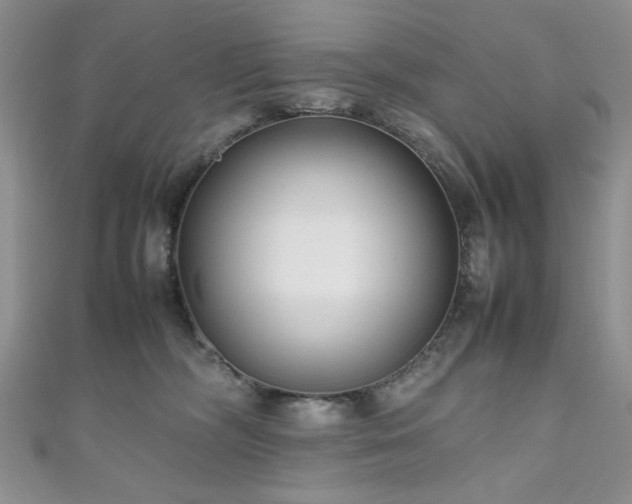 X0000111190326200907011417