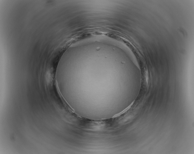 X0000111190328200907011417