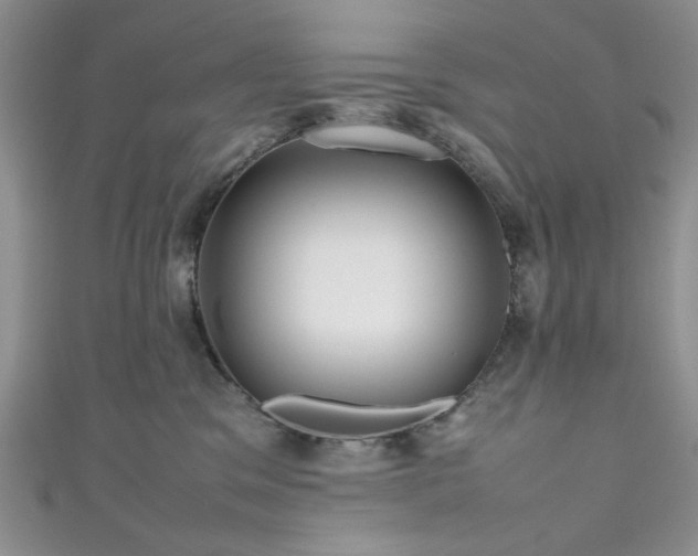 X0000111190329200907011417