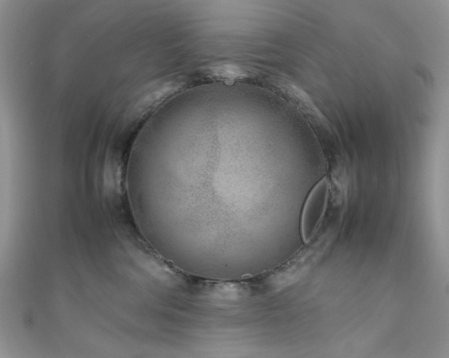 X0000111190330200907011417