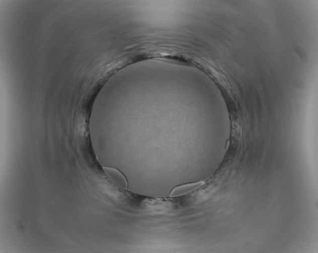 X0000111190331200907011417