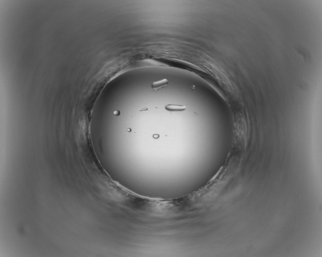 X0000111190333200907011417