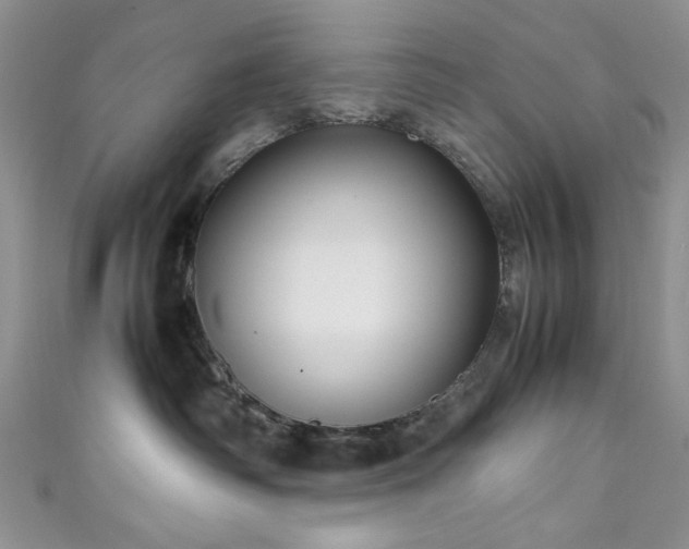 X0000111190334200907011417