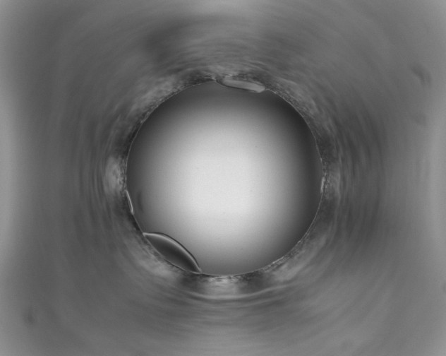 X0000111190335200907011417