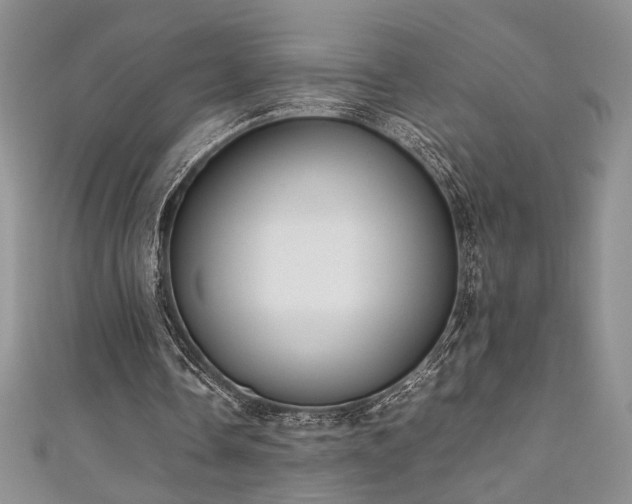 X0000111190338200907011416