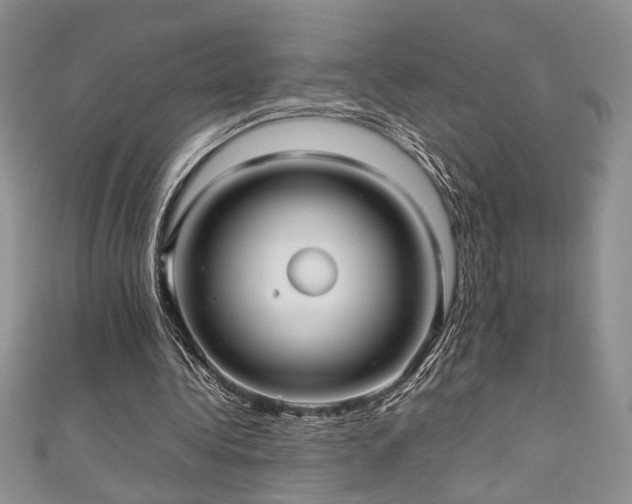 X0000111190340200907011416