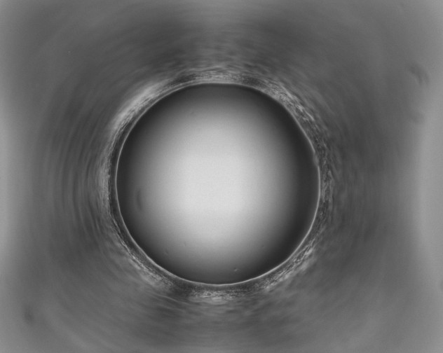 X0000111190341200907011416