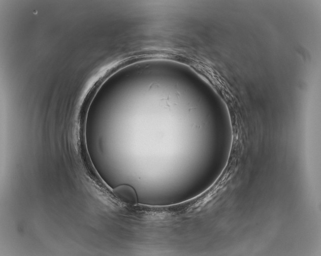 X0000111190342200907011416